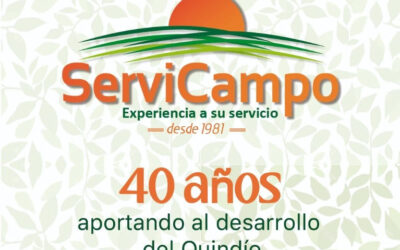 Historia Servicampo Armenia