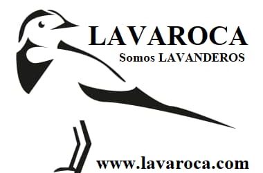 Nuestra Experiencia Con LavaRoca